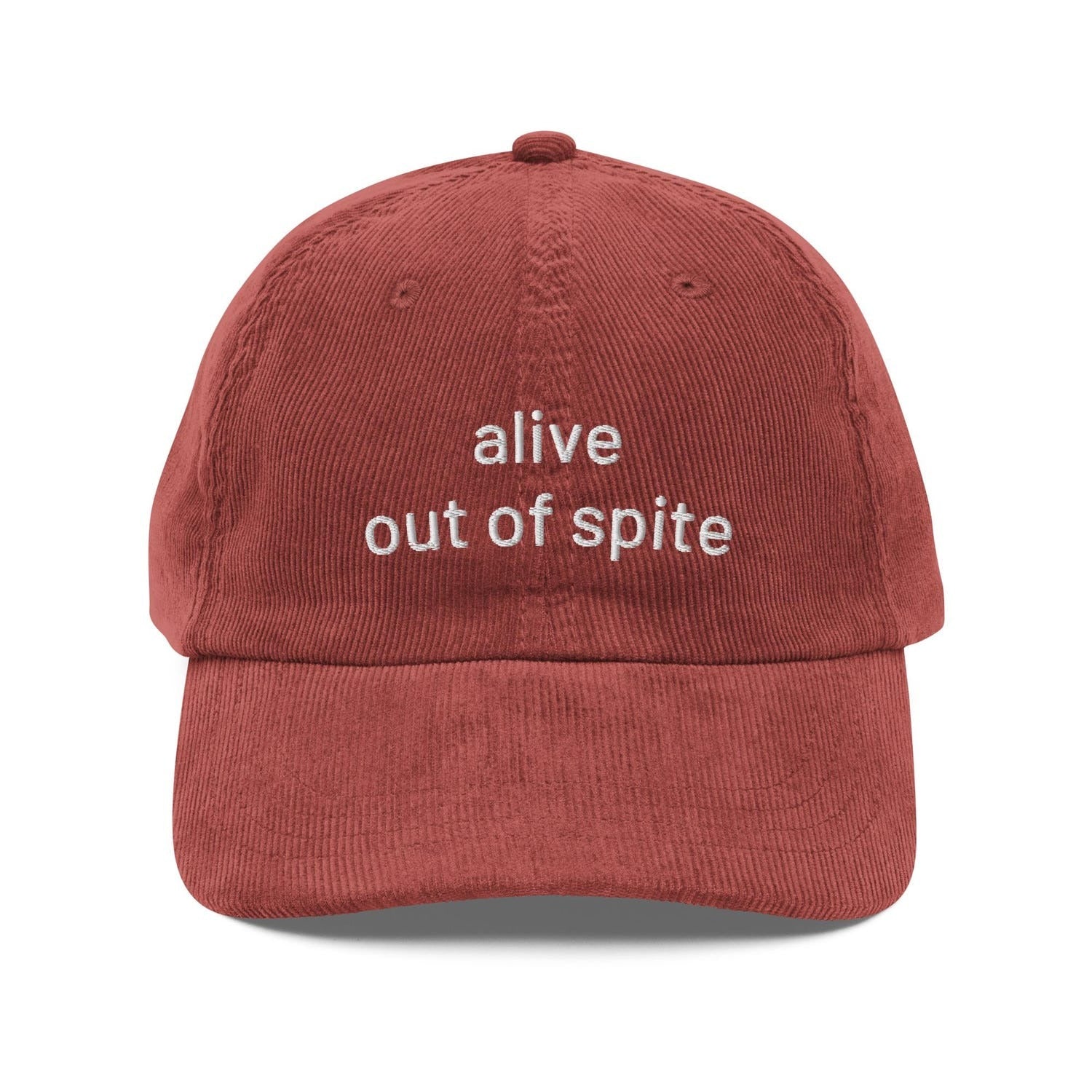 Custom Embroidered Alive Out of Spite Hat