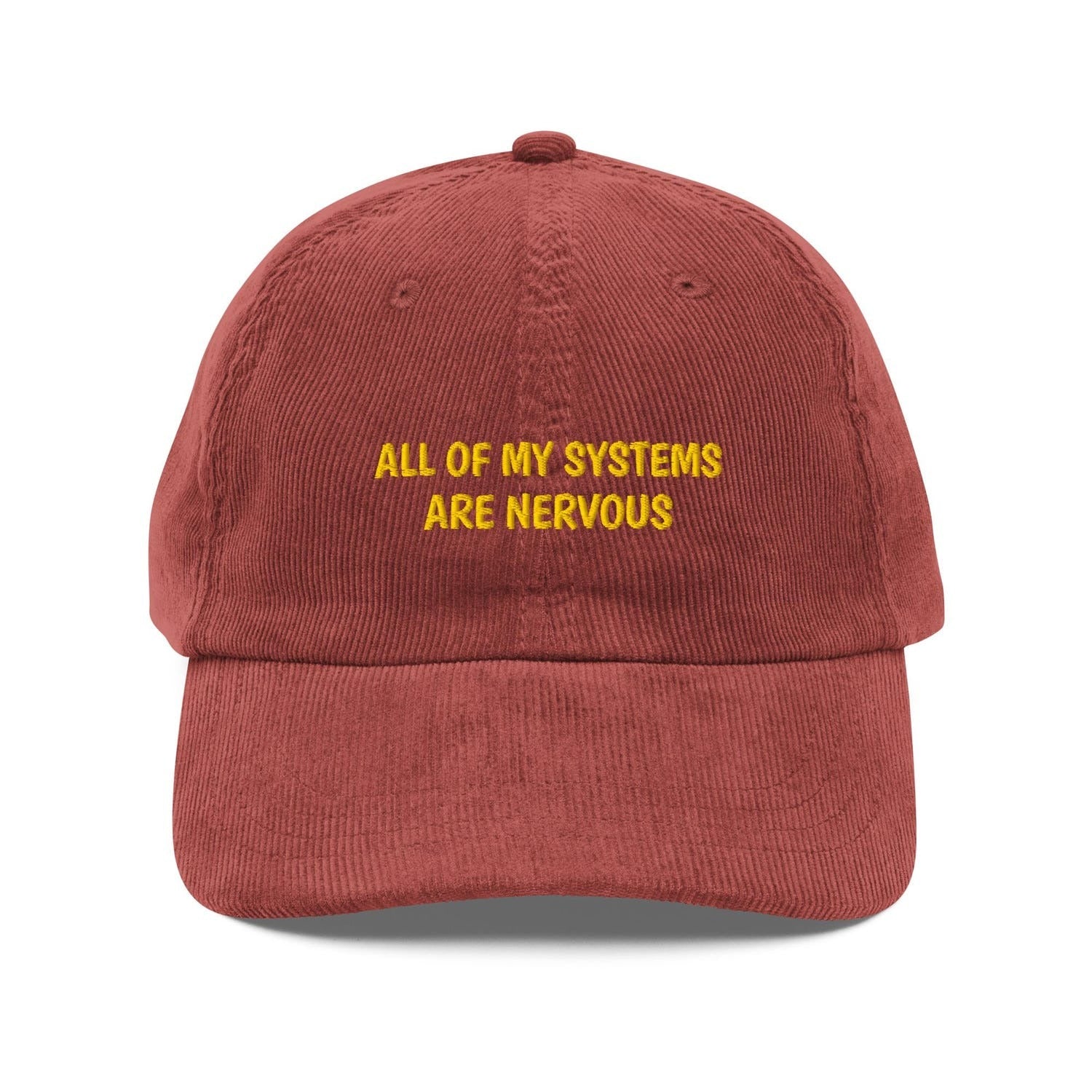 Custom Embroidered All My Systems Are Nervous Hat