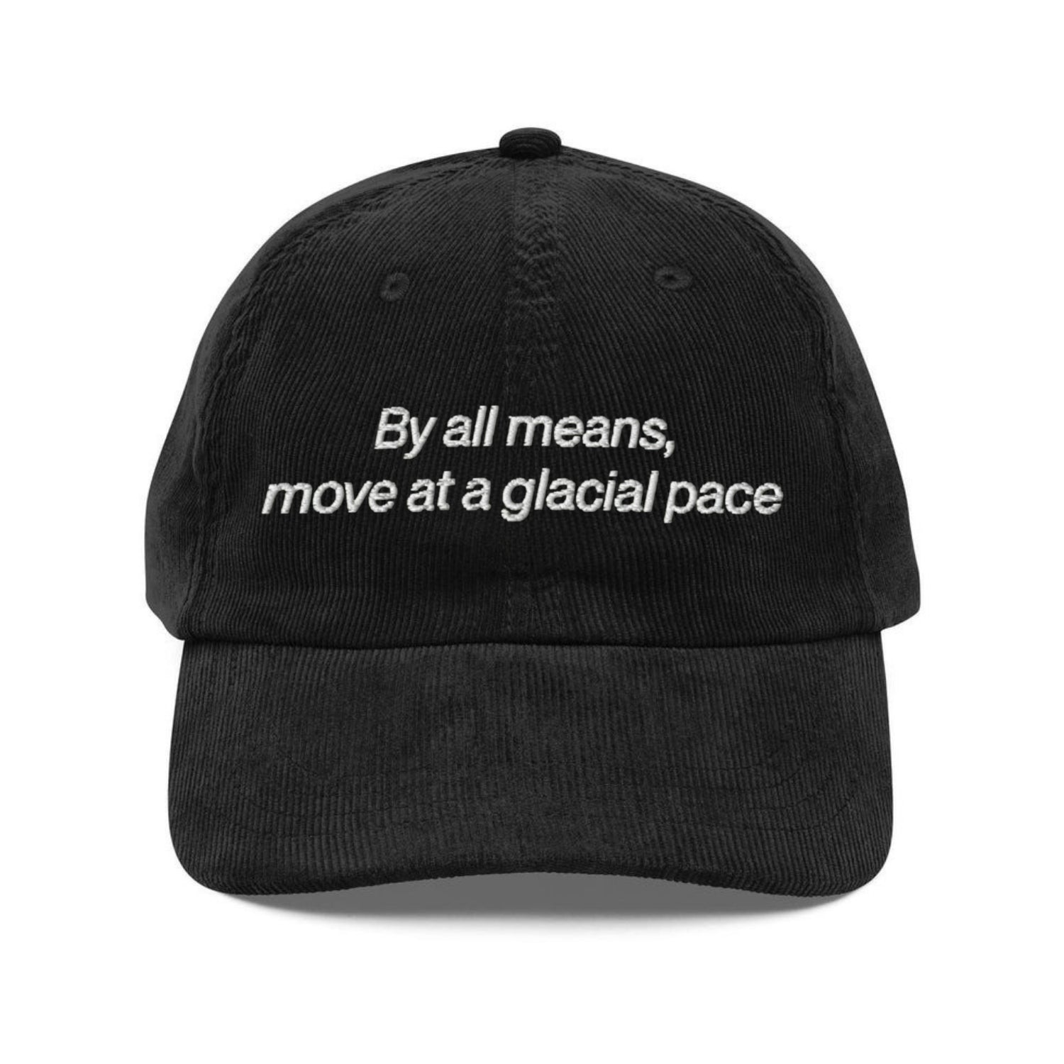 Custom Embroidered By All Means, Move At A Glacial Pace Hat