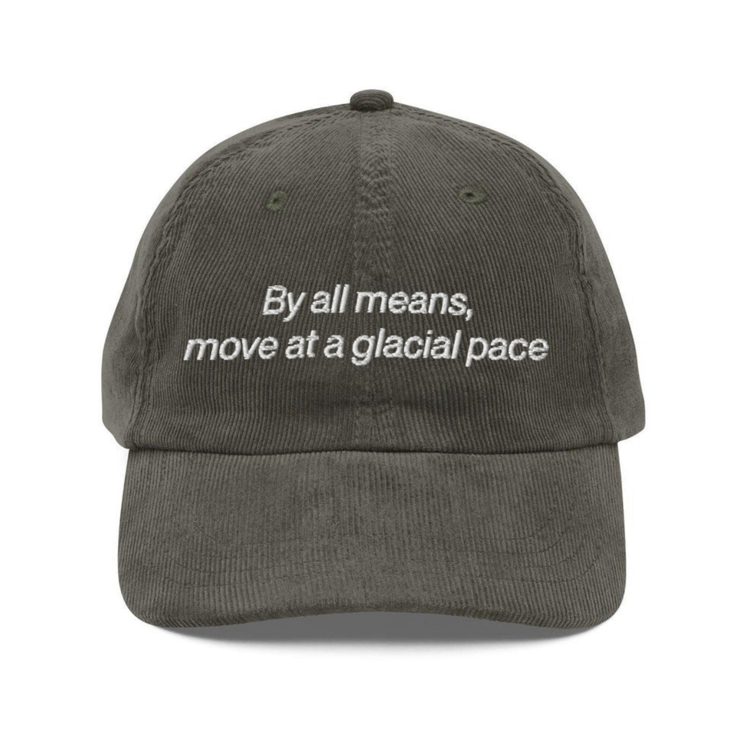 Custom Embroidered By All Means, Move At A Glacial Pace Hat