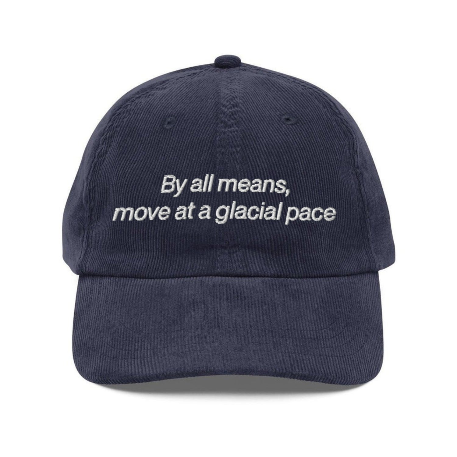 Custom Embroidered By All Means, Move At A Glacial Pace Hat
