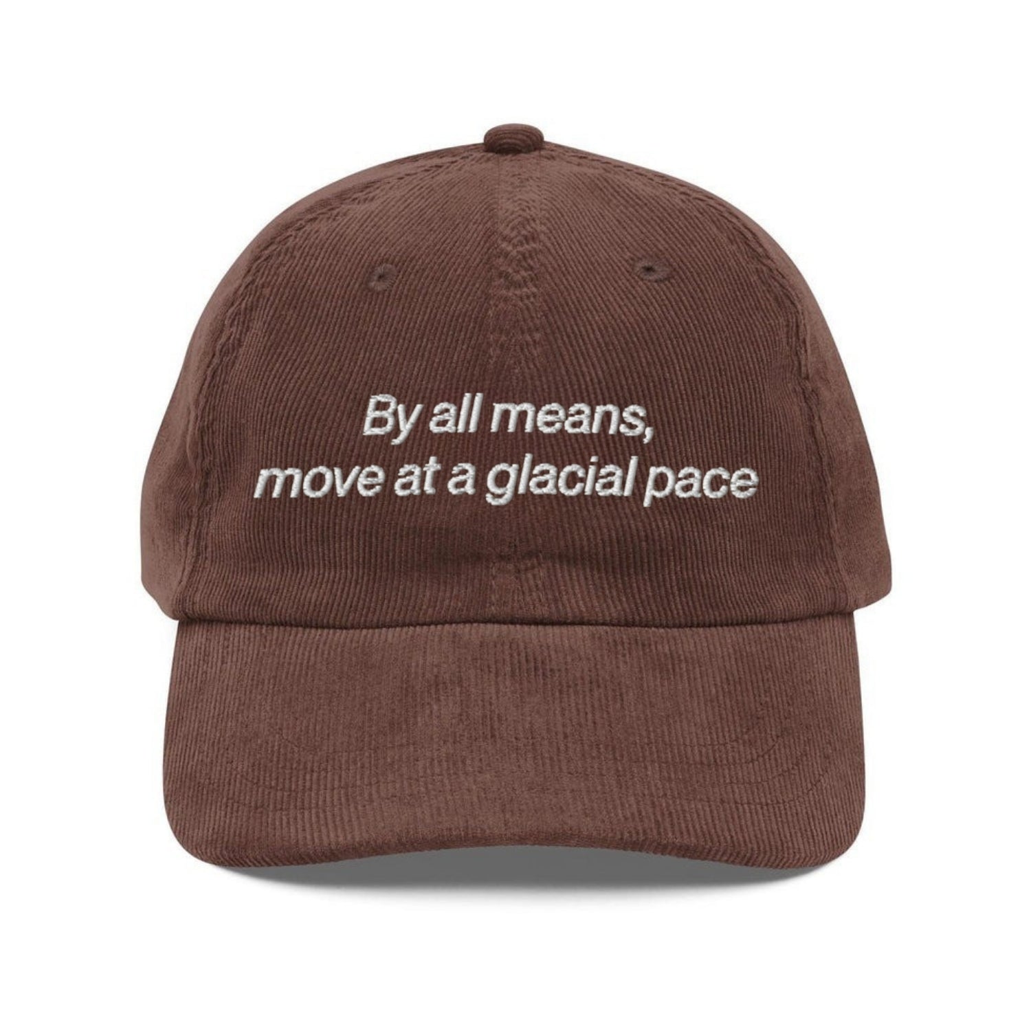 Custom Embroidered By All Means, Move At A Glacial Pace Hat