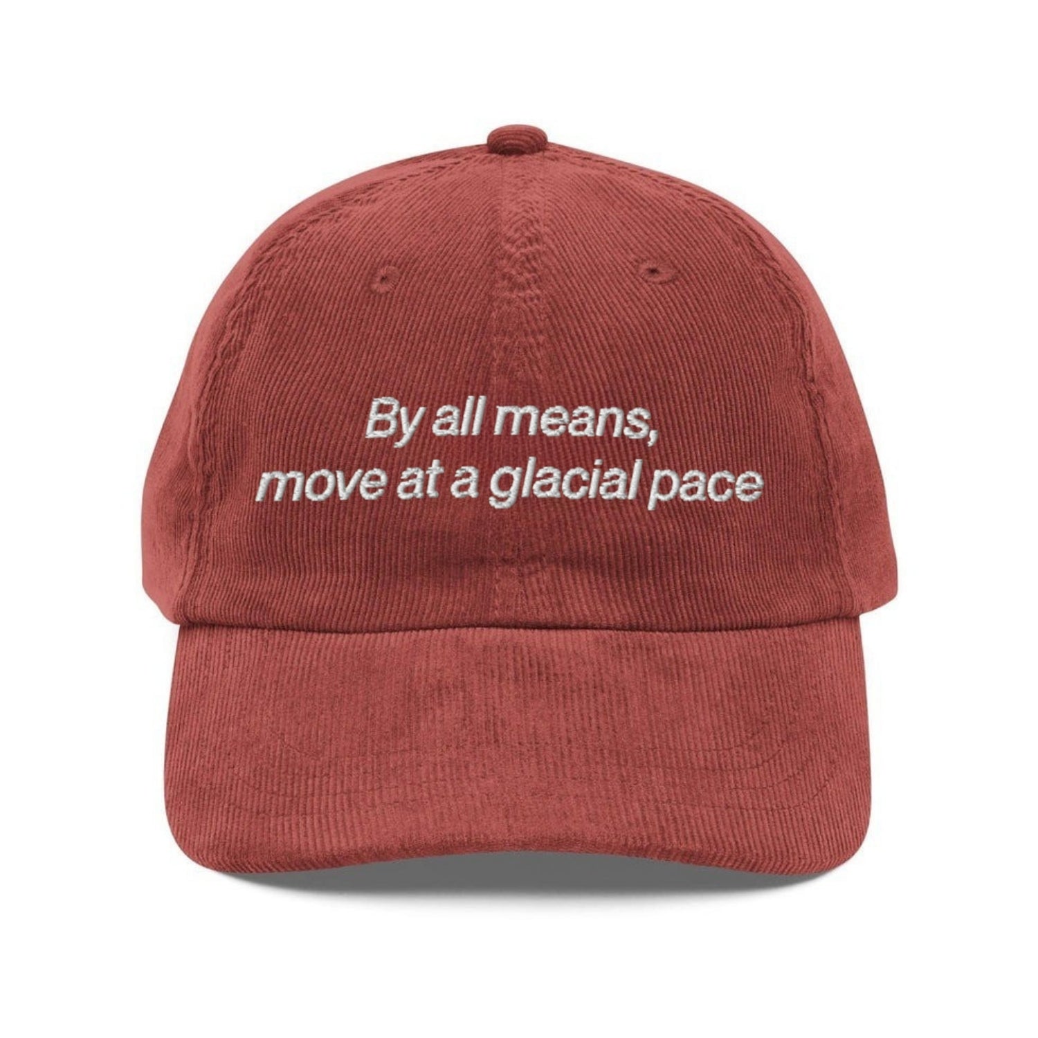 Custom Embroidered By All Means, Move At A Glacial Pace Hat