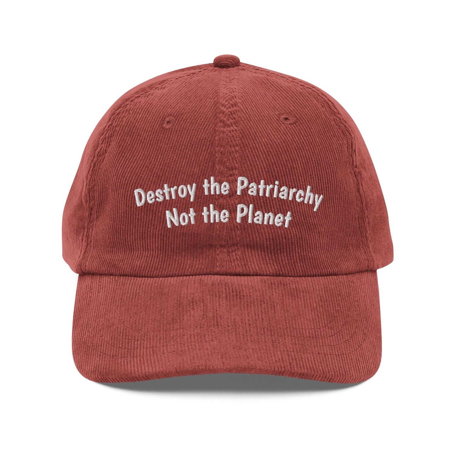 Custom Embroidered Destroy the Patriarchy, Not the Planet Hat