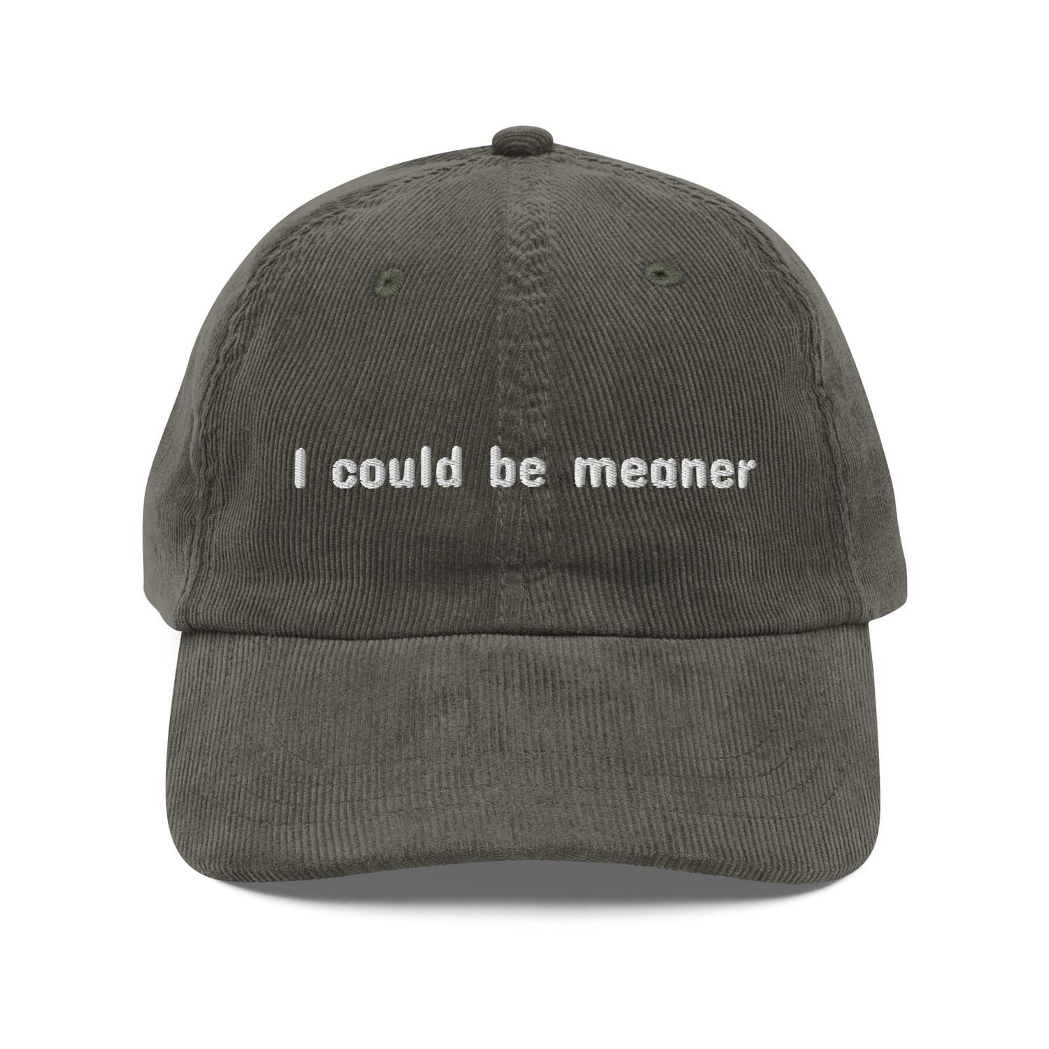 Custom Embroidered I Could Be Meaner Hat
