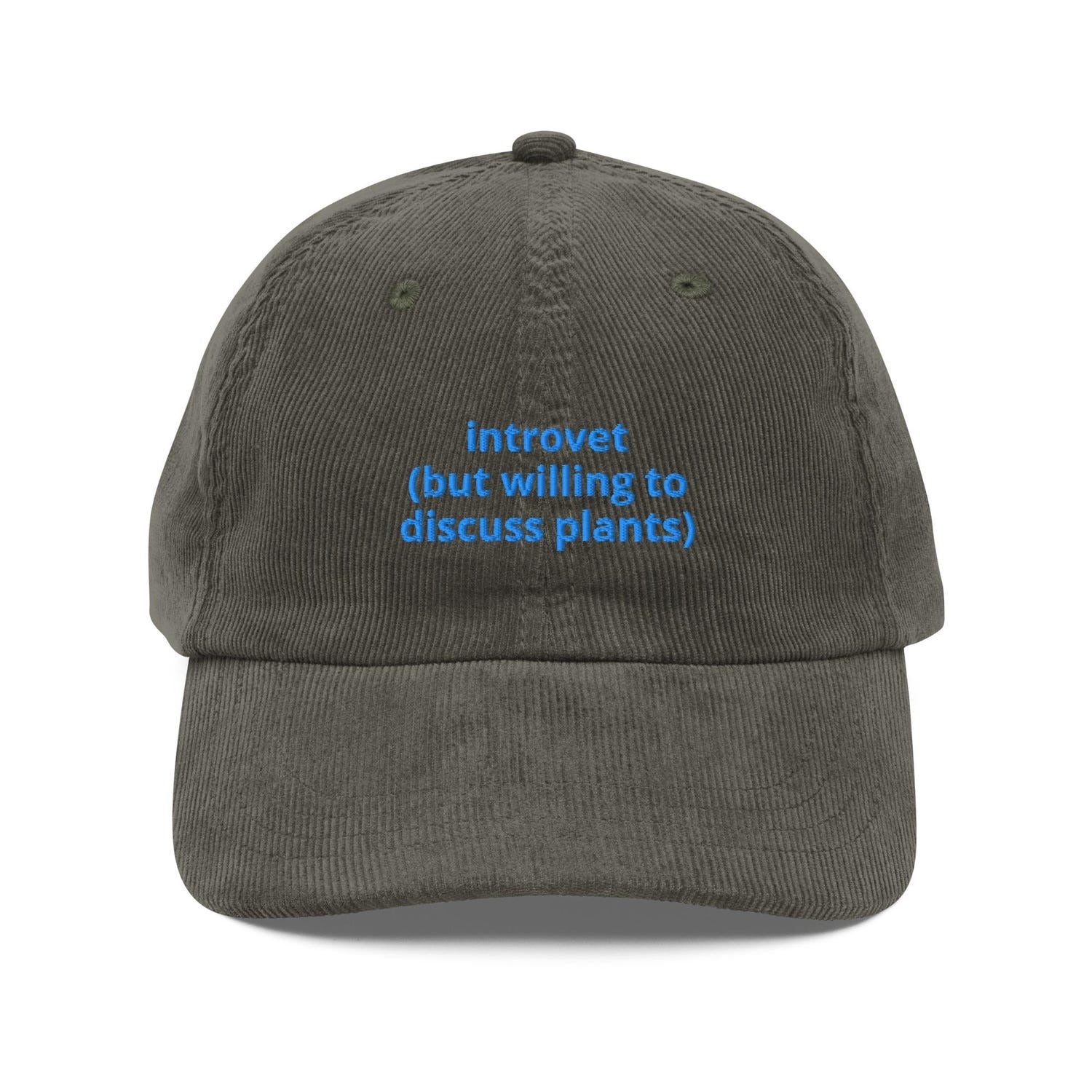 Custom Embroidered Introvert Hat