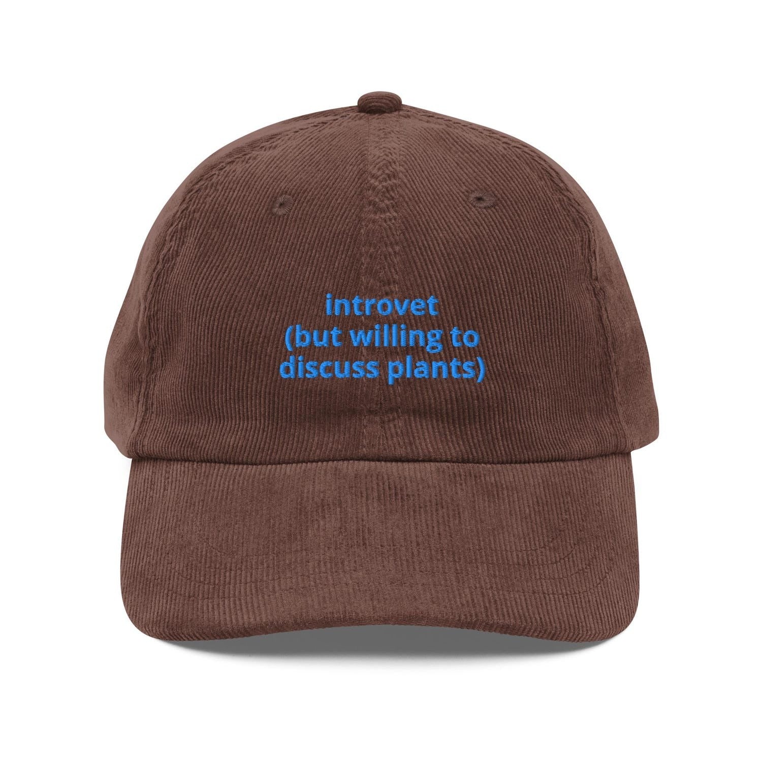 Custom Embroidered Introvert Hat
