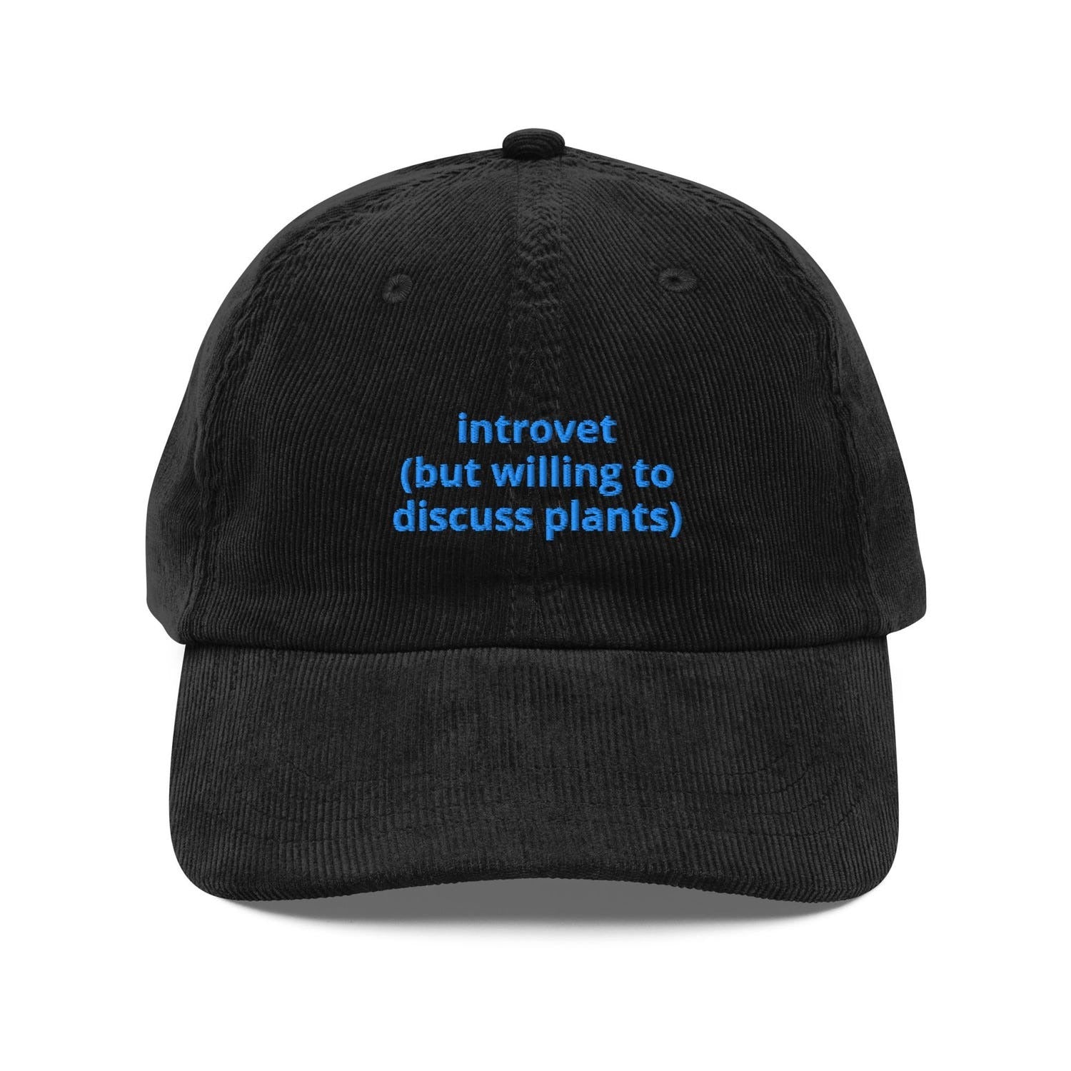 Custom Embroidered Introvert Hat
