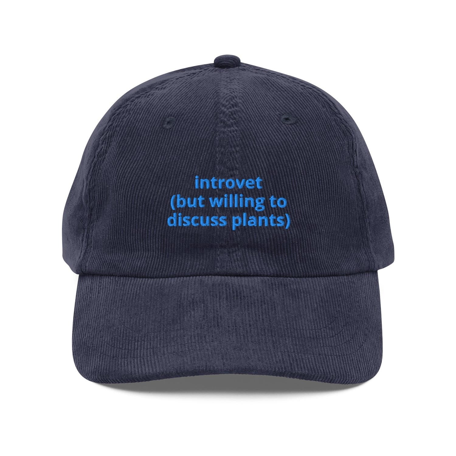 Custom Embroidered Introvert Hat