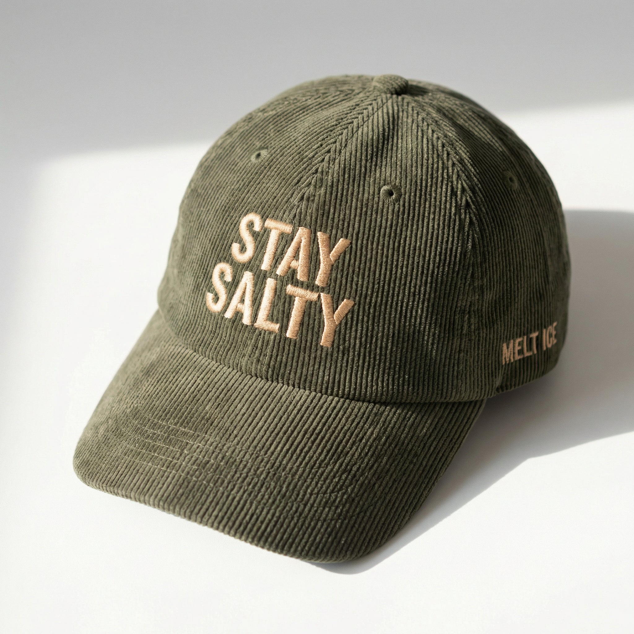 Custom Embroidered Stay Salty Melt ICE Reversible Hat - Human Rights Activist Cap