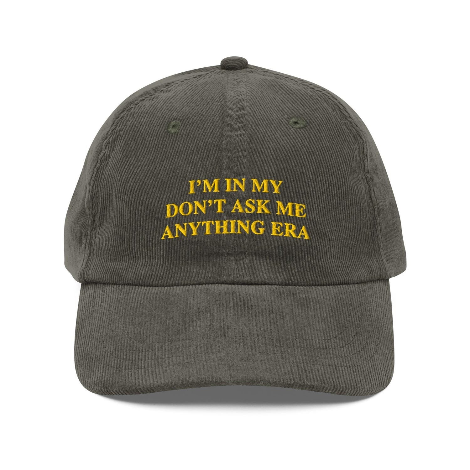 Custom Embroidered The Quiet Introvert Needs a 'Don’t Ask Me Anything' Hat