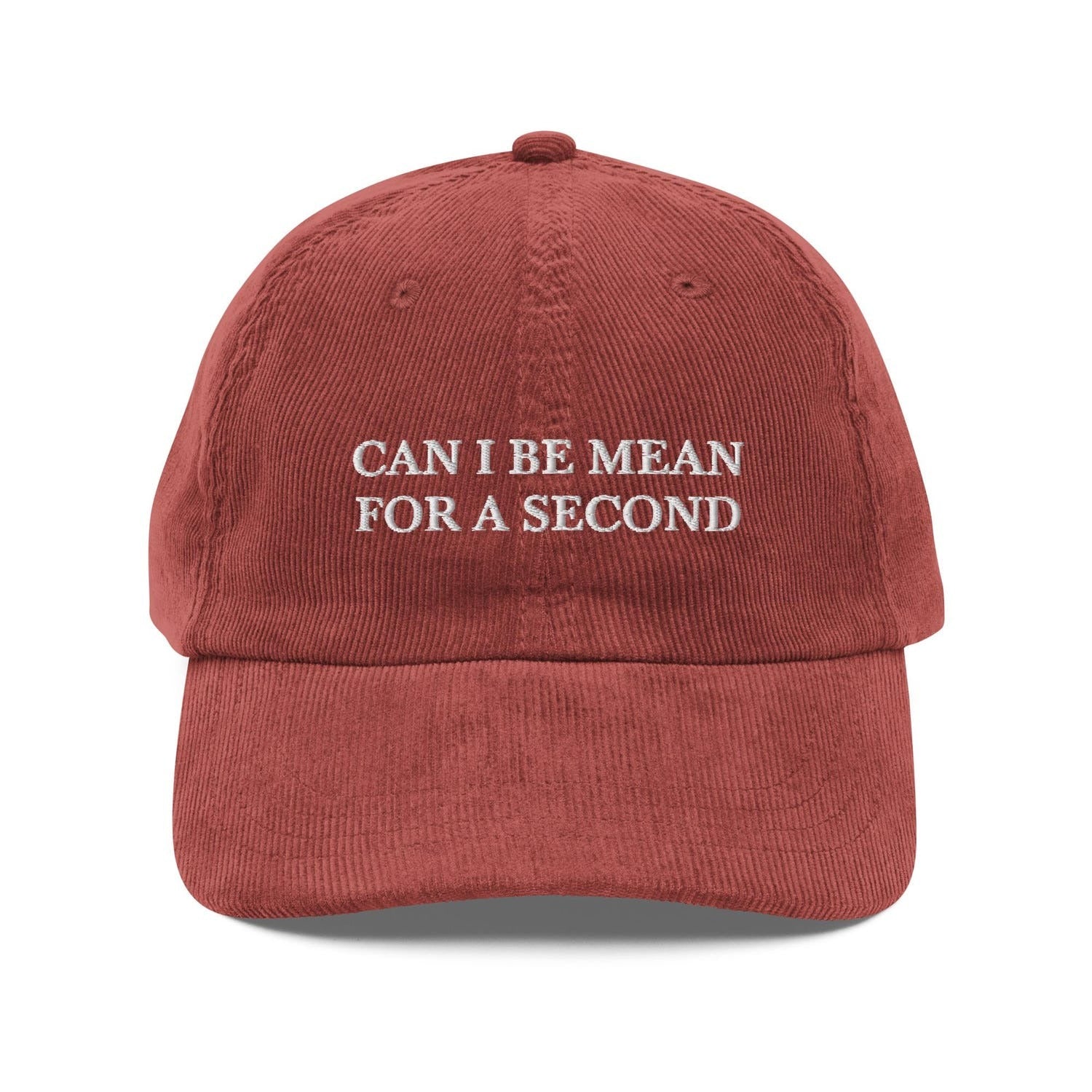 Custom Embroidered The Sassy Friend Needs a Can I Be Mean For a Second Hat