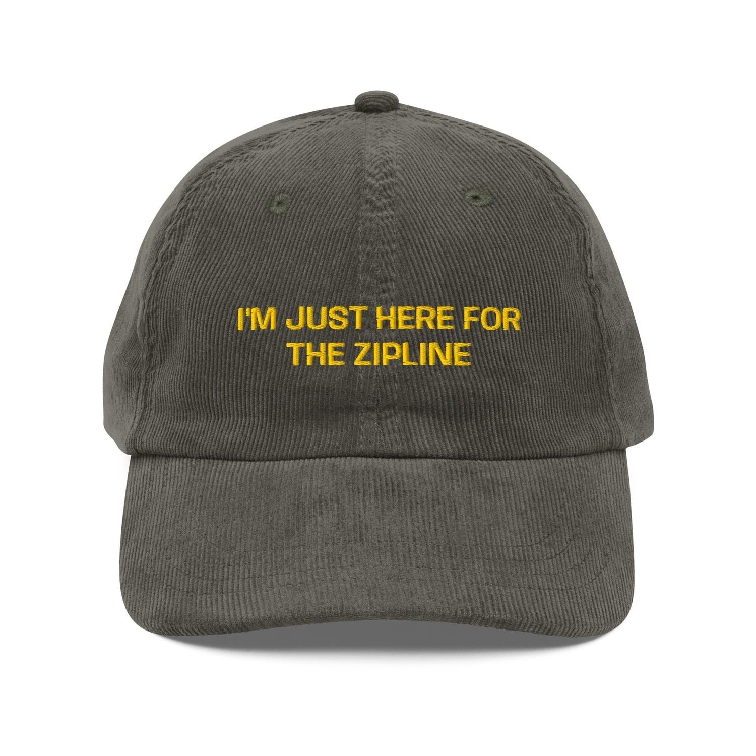 Custom Embroidered Tim Robinson Zipline Meme Hat