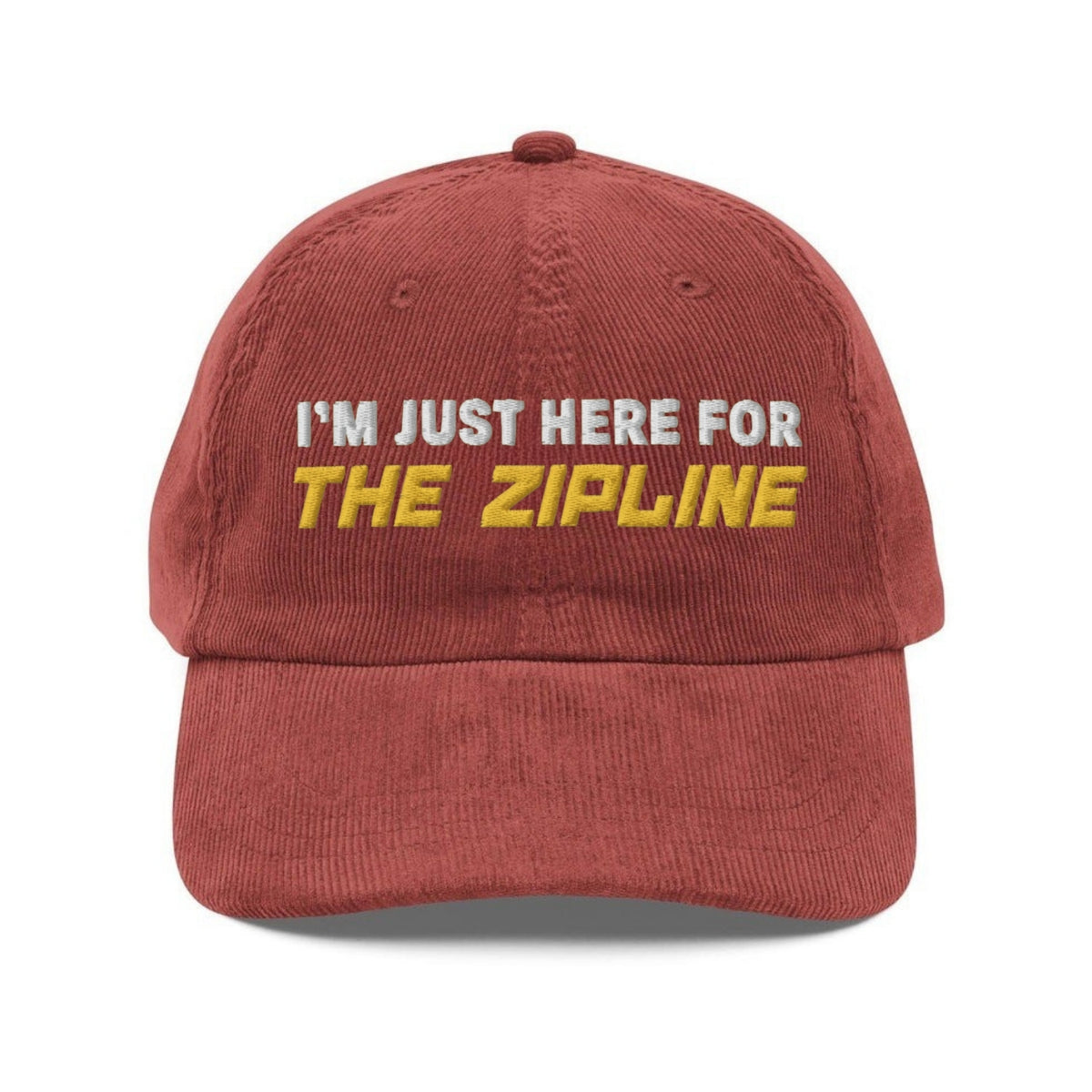 Custom Embroidered Tim Robinson Zipline Meme Hat