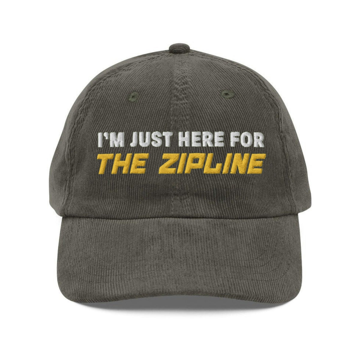 Custom Embroidered Tim Robinson Zipline Meme Hat