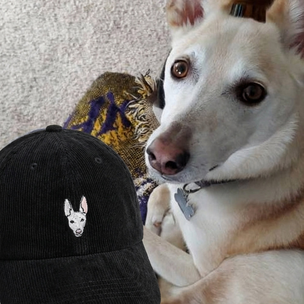 Gatorhats lifestyle 4