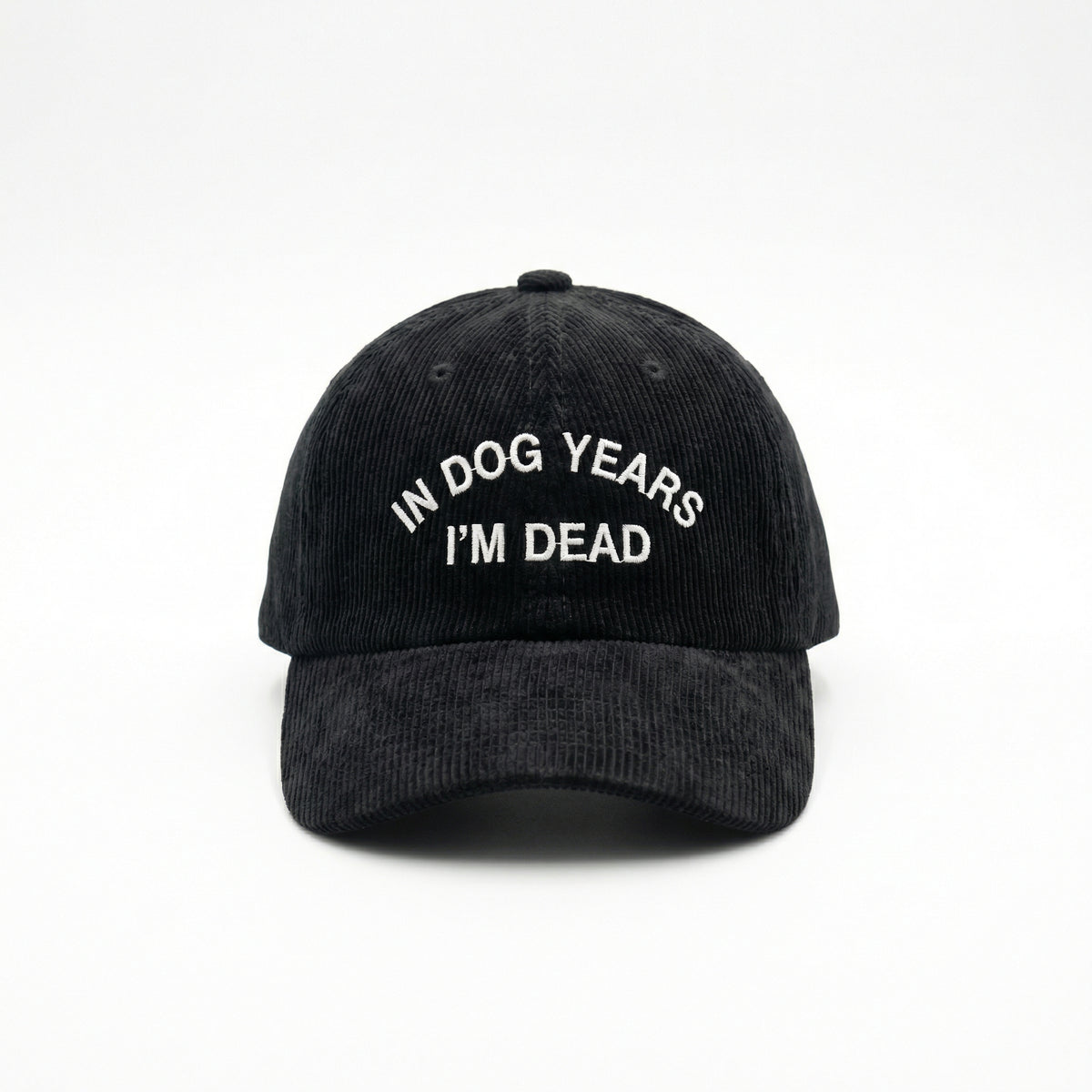 Custom In Dog Years I’m Dead Embroidered Dad Hat – Funny Dog Lover Cap