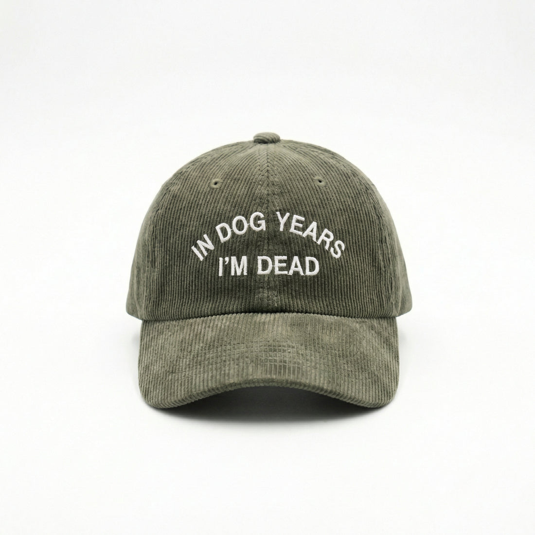 Custom In Dog Years I’m Dead Embroidered Dad Hat – Funny Dog Lover Cap
