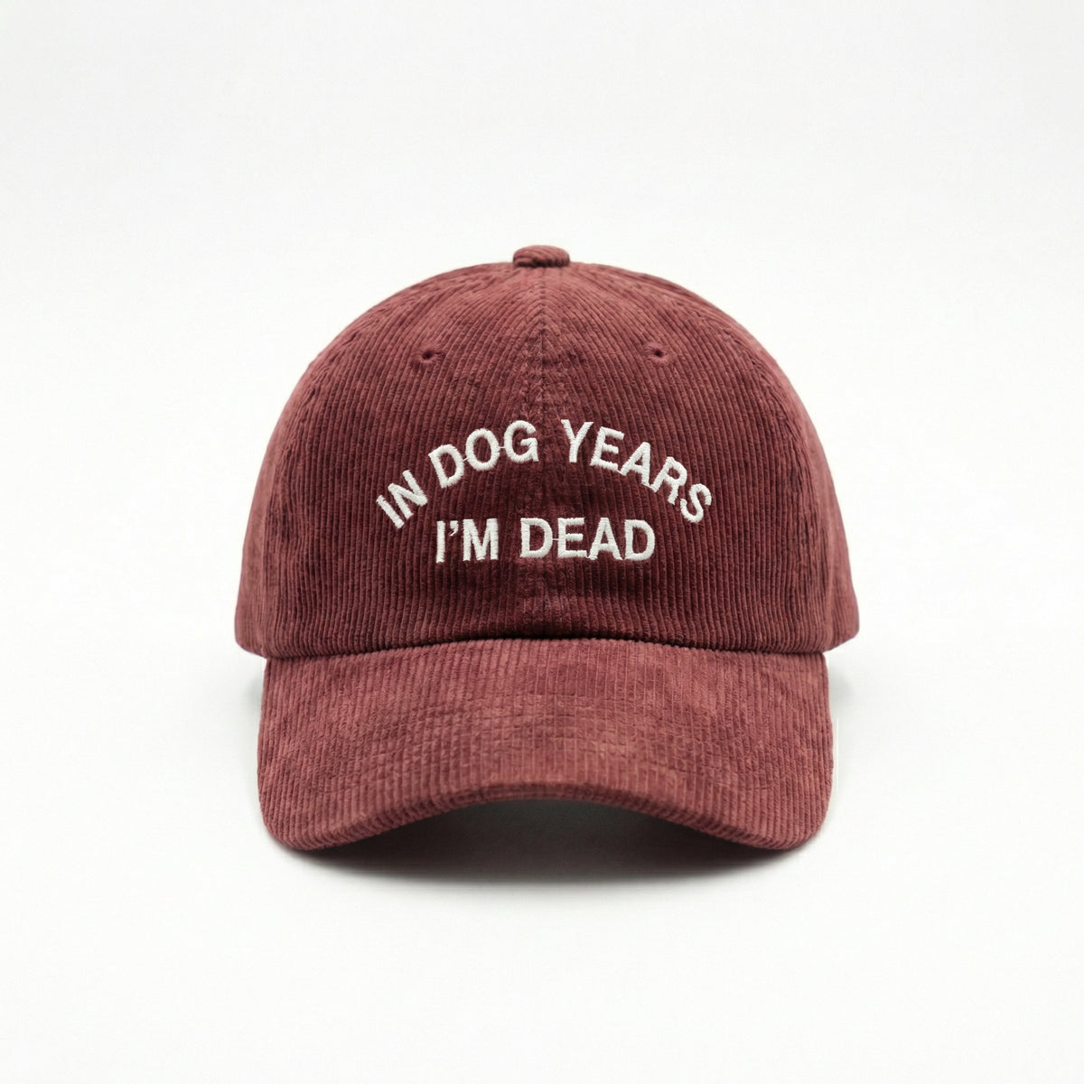 Custom In Dog Years I’m Dead Embroidered Dad Hat – Funny Dog Lover Cap