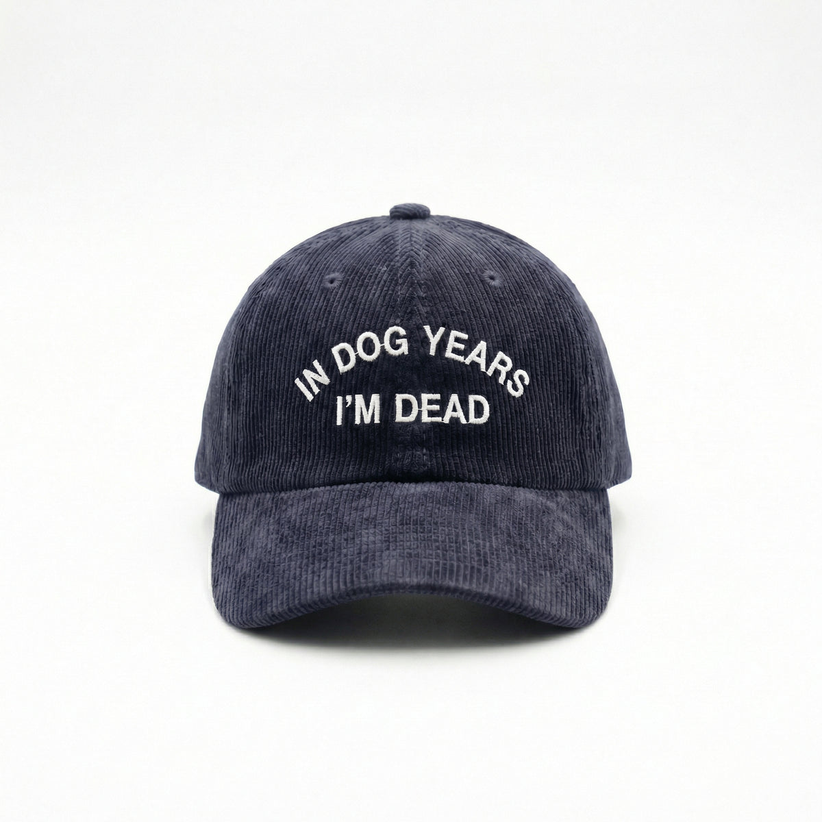 Custom In Dog Years I’m Dead Embroidered Dad Hat – Funny Dog Lover Cap