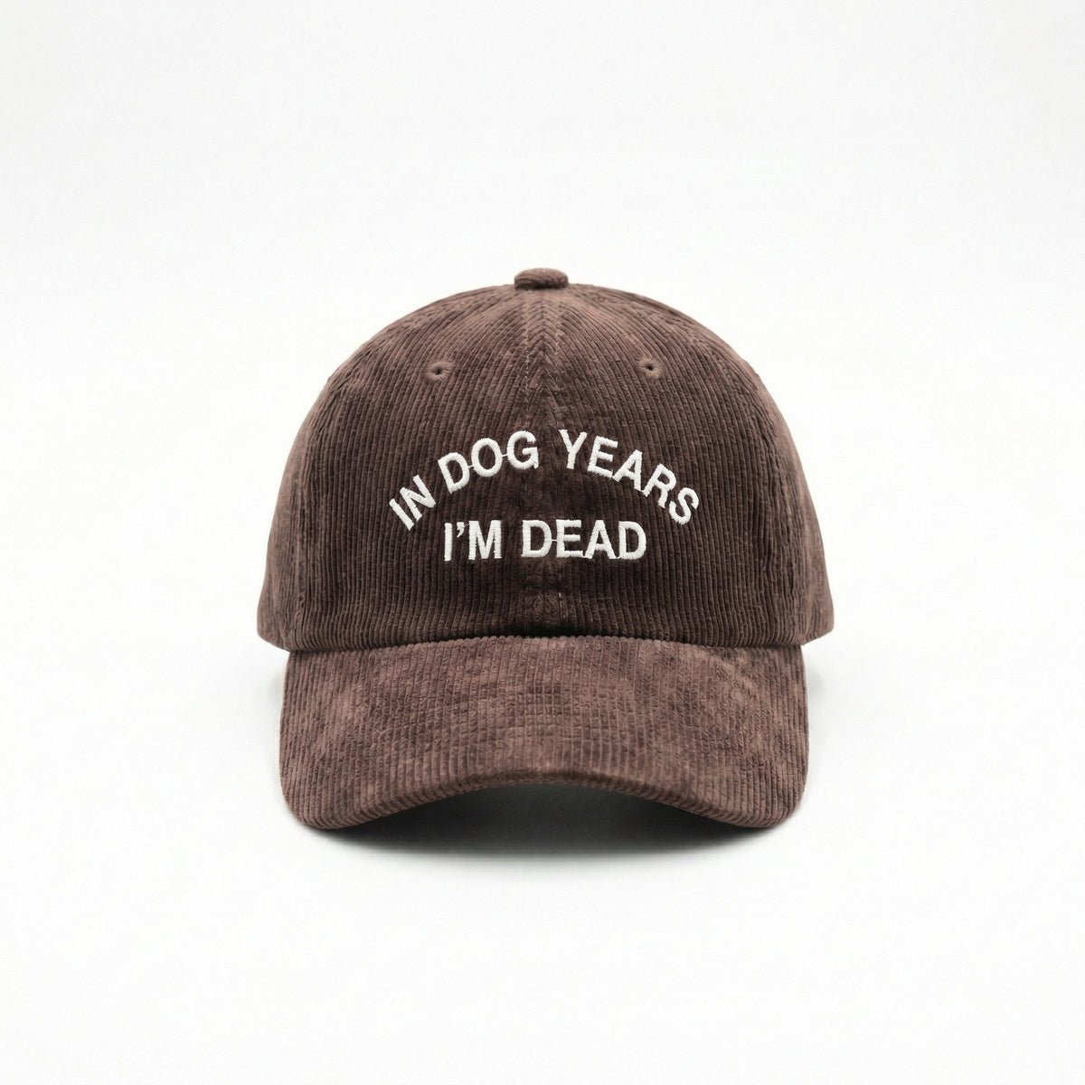 Custom In Dog Years I’m Dead Embroidered Dad Hat – Funny Dog Lover Cap