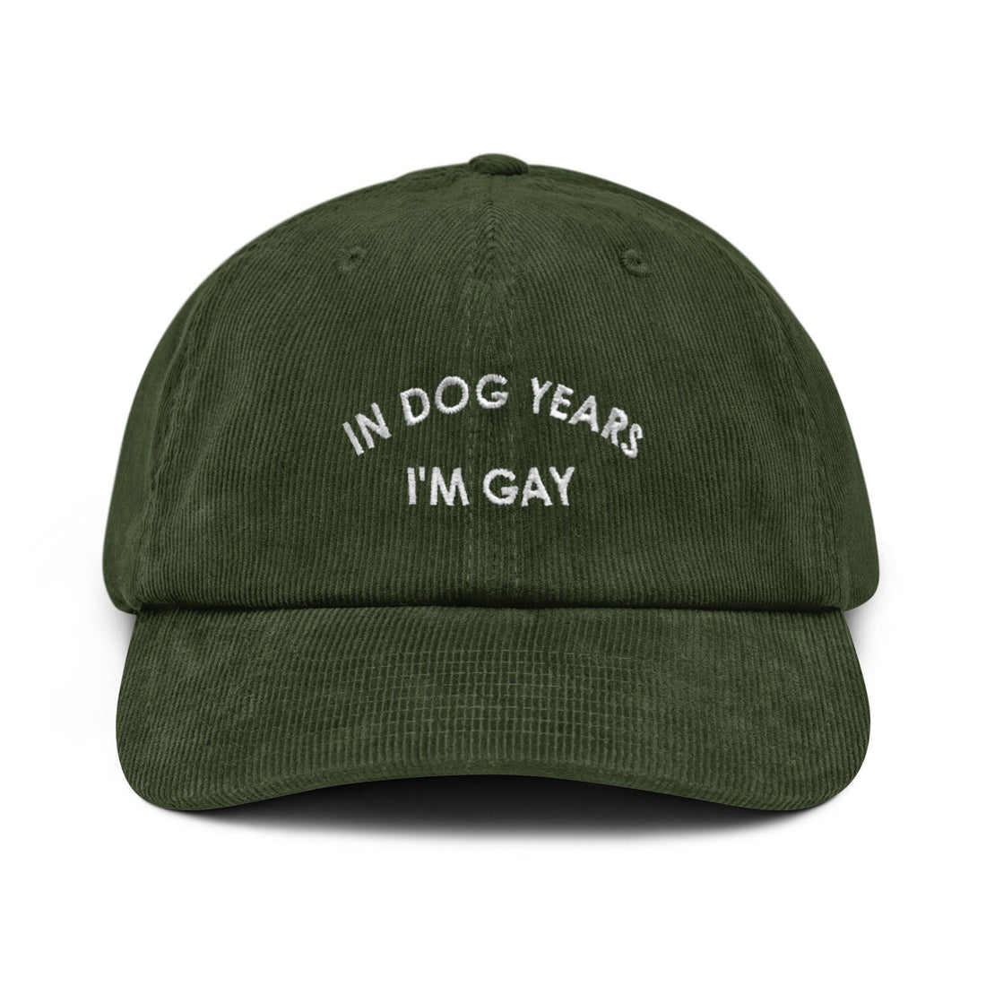 Custom Embroidered In Dog Years I'm Gay Hat