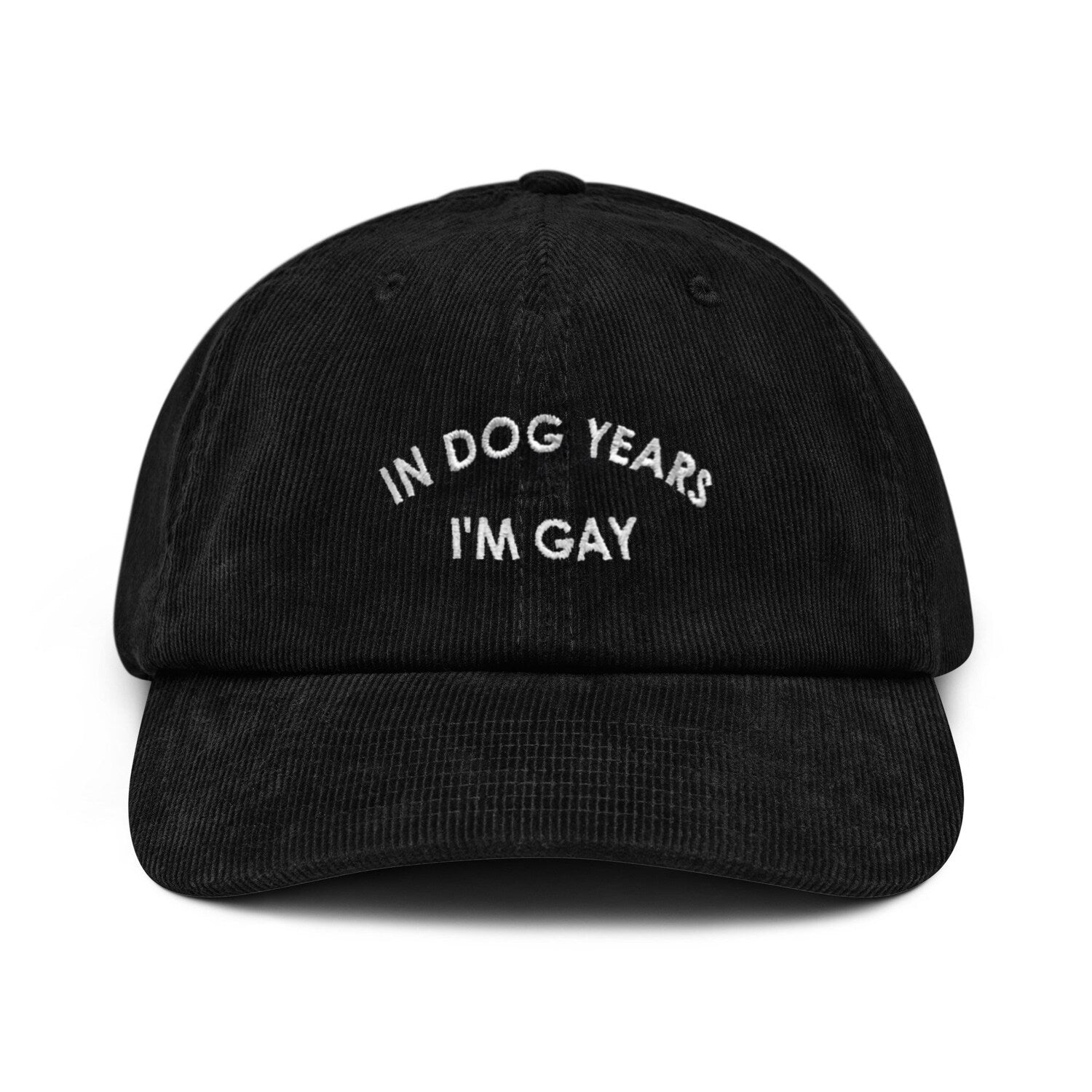 Custom Embroidered In Dog Years I'm Gay Hat