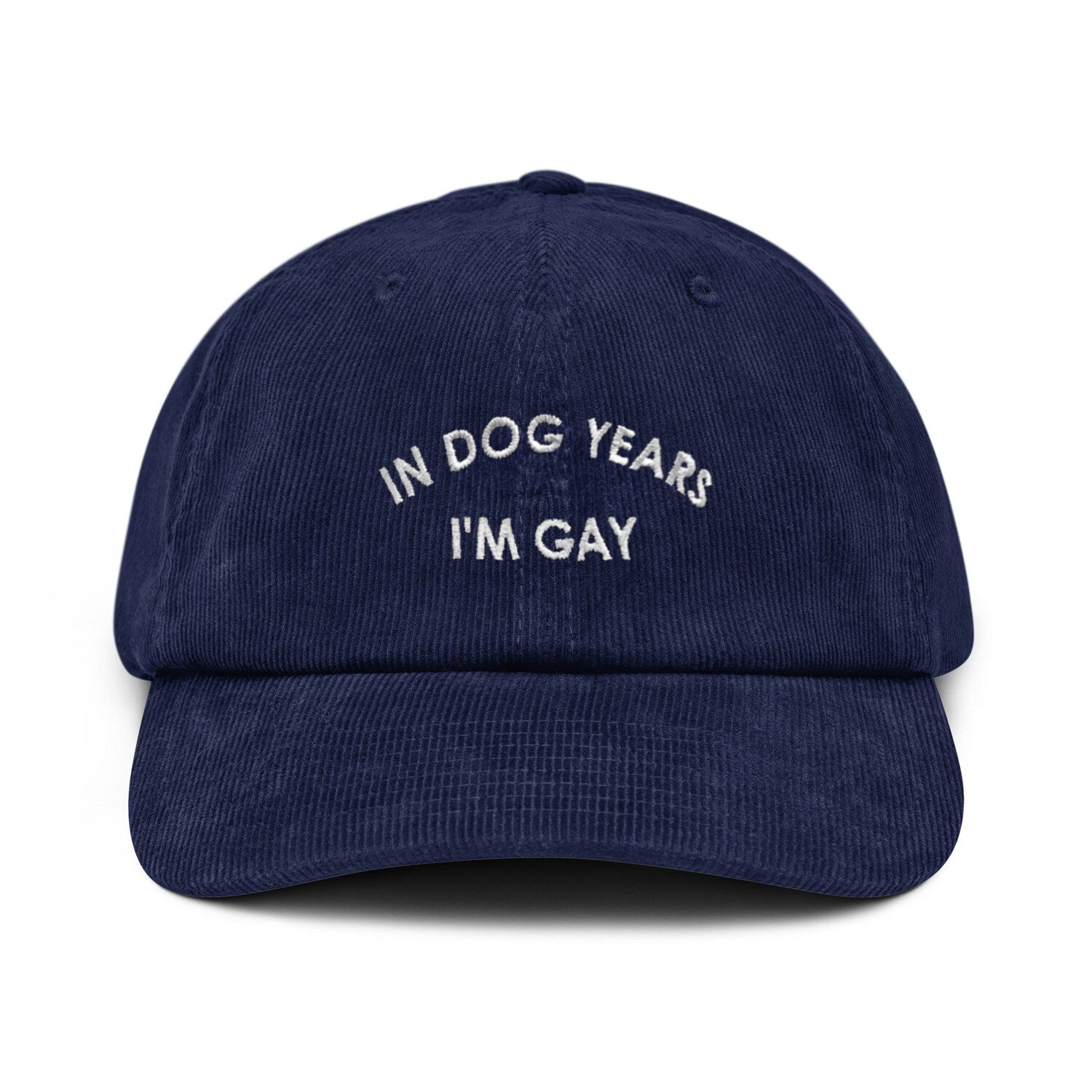 Custom Embroidered In Dog Years I'm Gay Hat